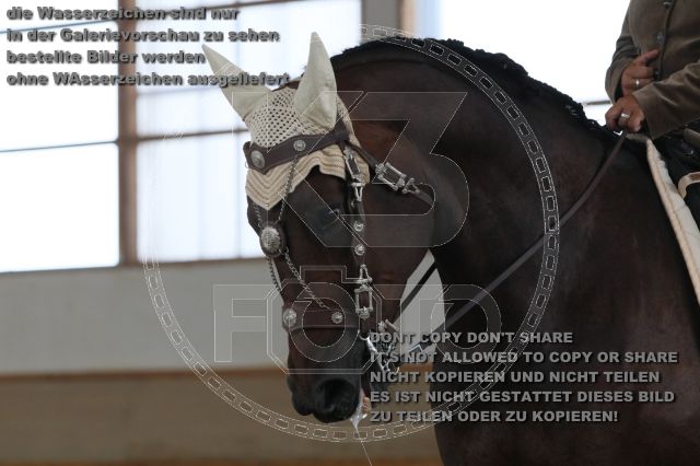 s_IMG_9796.JPG